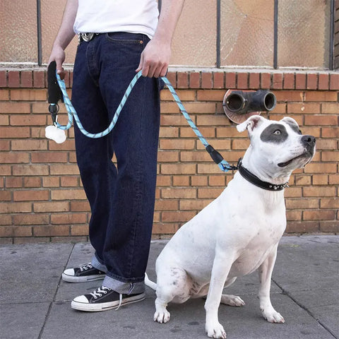 Reflective Nylon Dog Leash