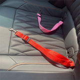 Dog Seat Belt Leash